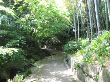 画像29